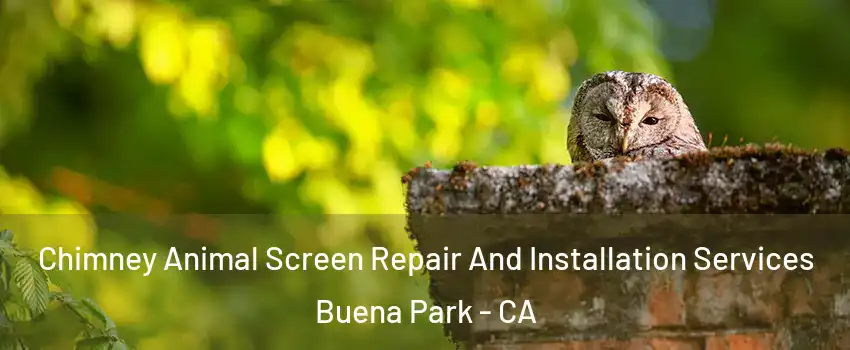  Chimney Animal Screen Repair And Installation Services Buena Park - CA
