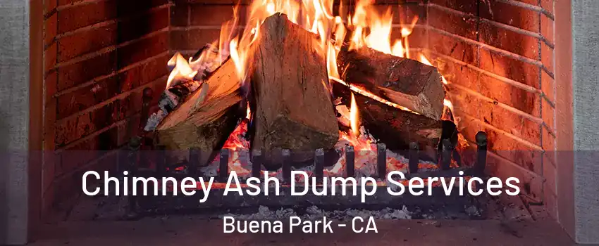  Chimney Ash Dump Services Buena Park - CA