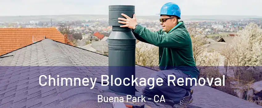  Chimney Blockage Removal Buena Park - CA