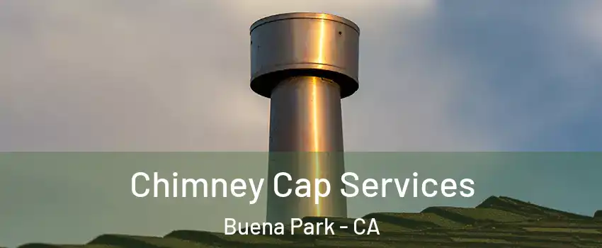  Chimney Cap Services Buena Park - CA