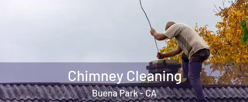  Chimney Cleaning Buena Park - CA