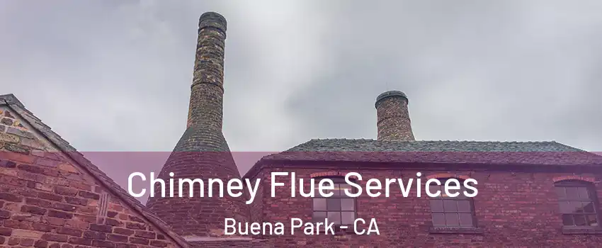  Chimney Flue Services Buena Park - CA