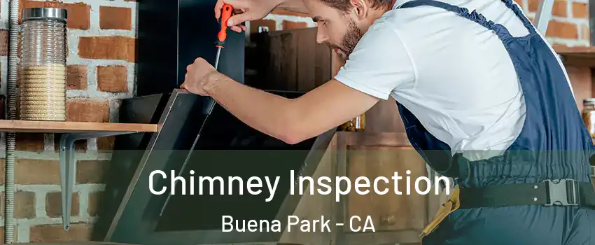  Chimney Inspection Buena Park - CA