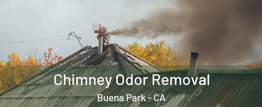  Chimney Odor Removal Buena Park - CA