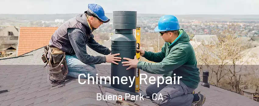  Chimney Repair Buena Park - CA