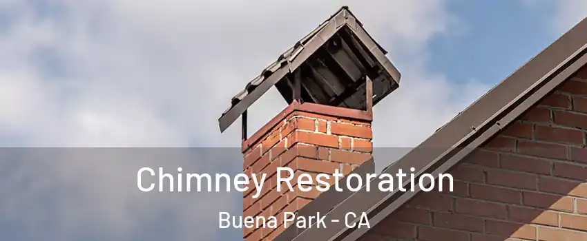  Chimney Restoration Buena Park - CA