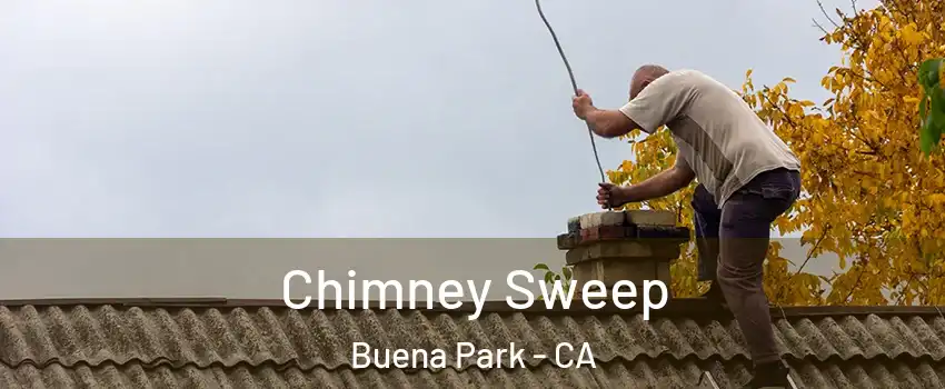  Chimney Sweep Buena Park - CA