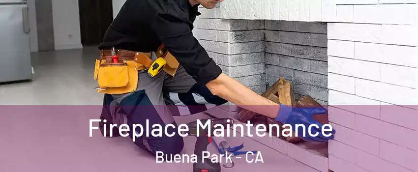 Fireplace Maintenance Buena Park - CA