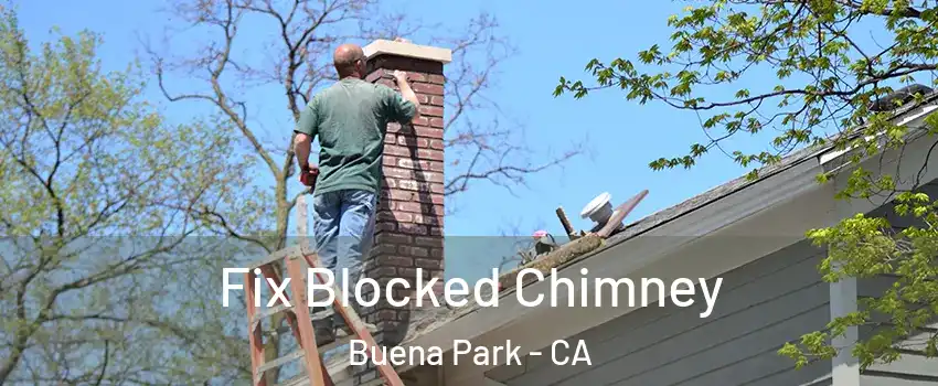  Fix Blocked Chimney Buena Park - CA