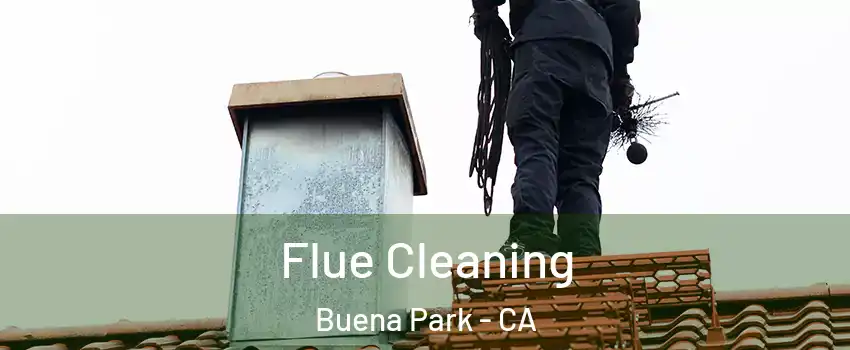  Flue Cleaning Buena Park - CA