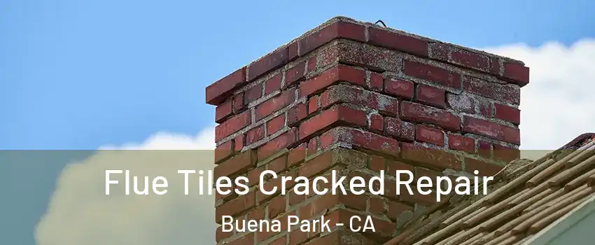  Flue Tiles Cracked Repair Buena Park - CA