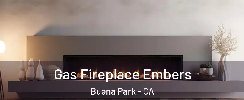  Gas Fireplace Embers Buena Park - CA