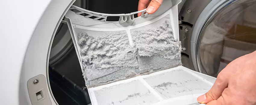 Best Dryer Lint Removal Company in Buena Park, California