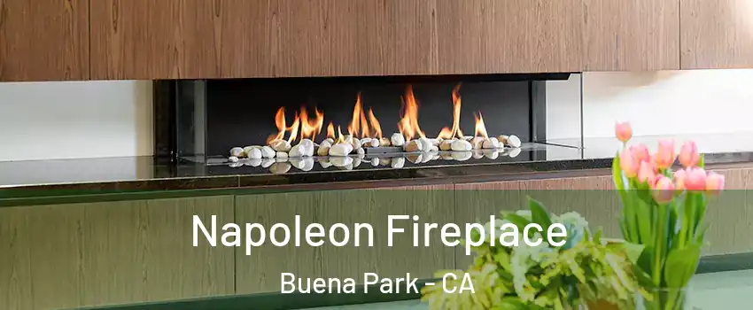  Napoleon Fireplace Buena Park - CA